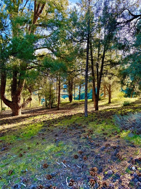 Front Image Thumbnail for CRSR25277954