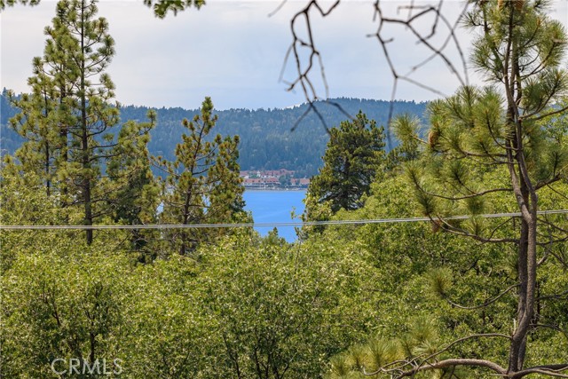 Detail Gallery Image 21 of 28 For 28966 North Shore Rd, Lake Arrowhead,  CA 92352 - 4 Beds | 3 Baths