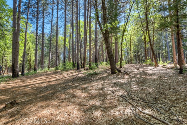 Detail Gallery Image 27 of 44 For 14565 Coutolenc Rd, Magalia,  CA 95954 - 3 Beds | 2 Baths