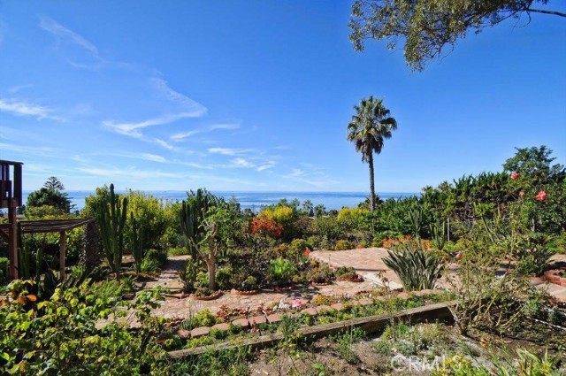 Backyard Looking Out to Views