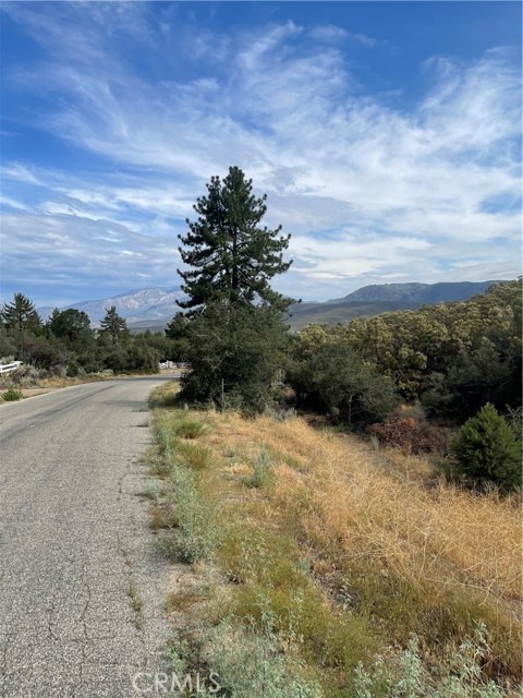 2 Goldshot Creek Road, Mountain Center, California 92561, ,Land,For Sale,2 Goldshot Creek Road,CRSW22171999