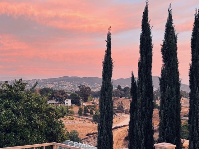 MLS #SW25154917 img 56