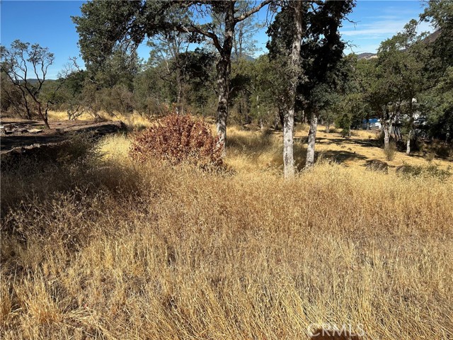Detail Gallery Image 2 of 4 For 3503 Filmore Ave, Clearlake,  CA 95422 - – Beds | – Baths
