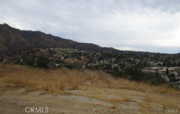 Front Image Thumbnail for CRSR26013635