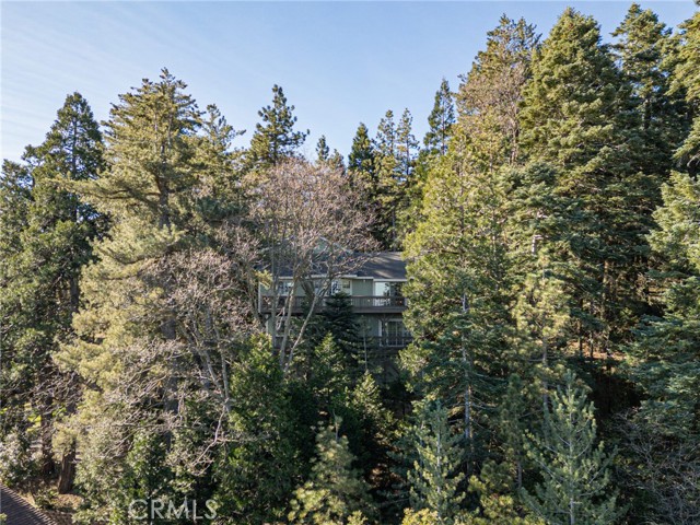 Detail Gallery Image 36 of 40 For 24502 Albrun Ct, Crestline,  CA 92325 - 3 Beds | 2/1 Baths