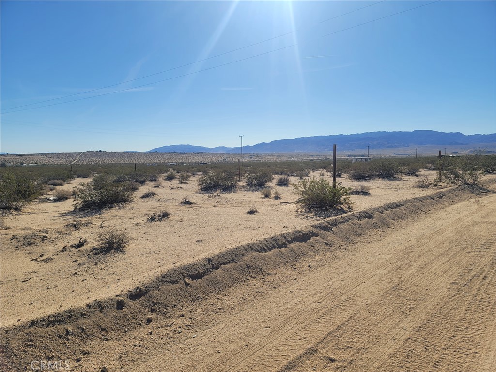 MLS #IV25258671 image #6