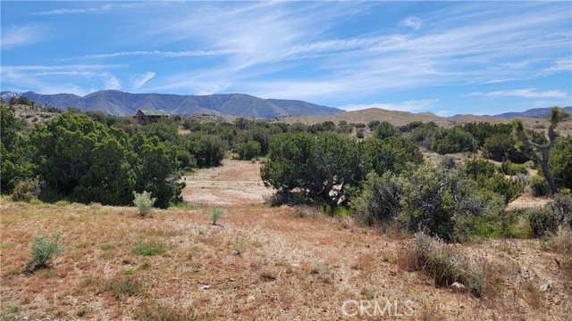 Detail Gallery Image 15 of 18 For 13138 Fort Tejon Rd, Pearblossom,  CA 93553 - 0 Beds | 1 Baths