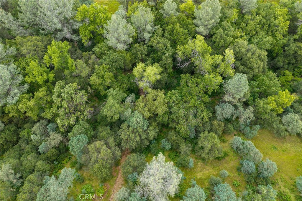 https://media.crmls.org/medias/9c958f4d-1e06-477c-97df-6b6cc83d853c.jpg?preset=X-Large