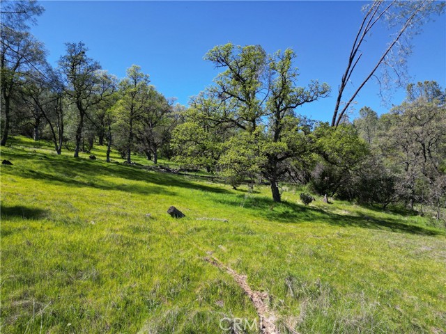 Detail Gallery Image 9 of 14 For 0 Hidden Mine Rd, Oroville,  CA 95965 - – Beds | – Baths