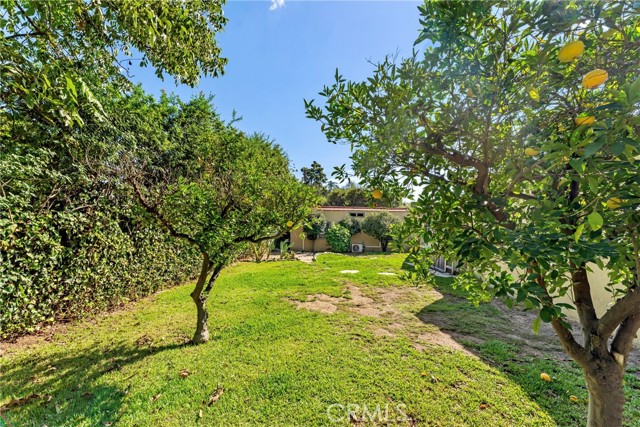 667 West Grandview photo 45