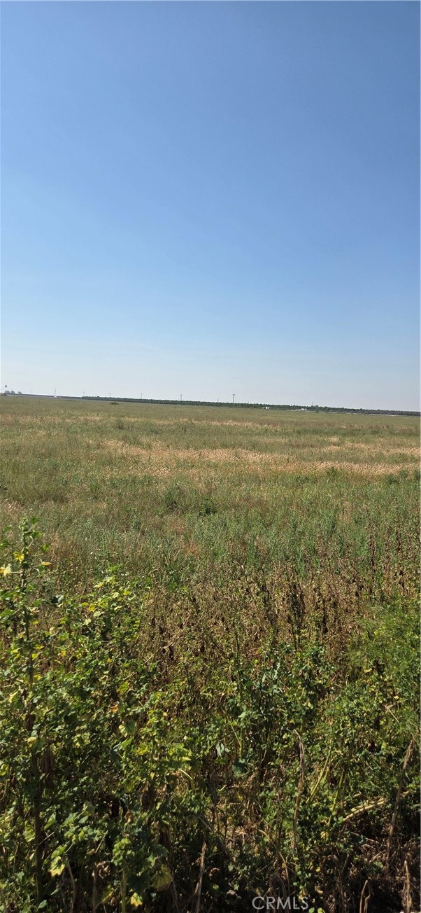 Front Image Thumbnail for CRIV26066207