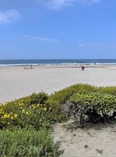 Detail Gallery Image 39 of 40 For 25134 via Terracina, Laguna Niguel,  CA 92677 - 3 Beds | 2 Baths