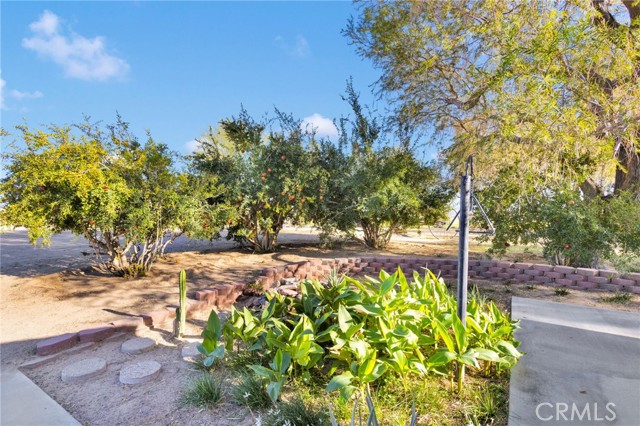 Detail Gallery Image 49 of 62 For 37404 Harvard Rd, Newberry Springs,  CA 92365 - 4 Beds | 3 Baths