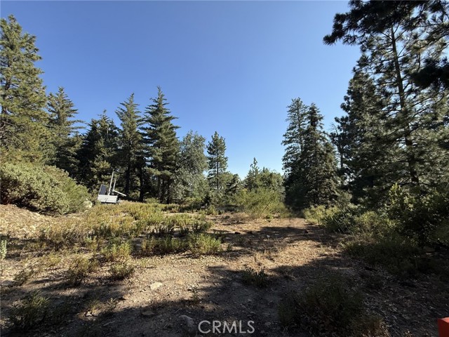 0 Ca-38, Angelus Oaks CA: https://media.crmls.org/medias/9cb5d4bd-ab74-4e04-ae89-c919e6dbcbfd.jpg