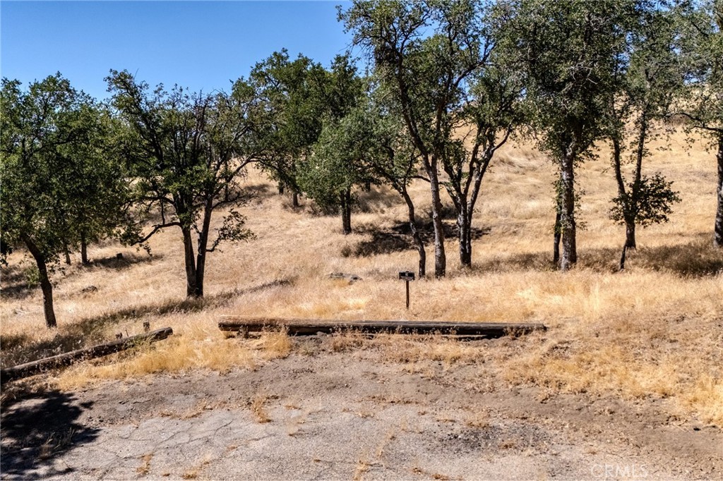 MLS #PI25150559 img 1