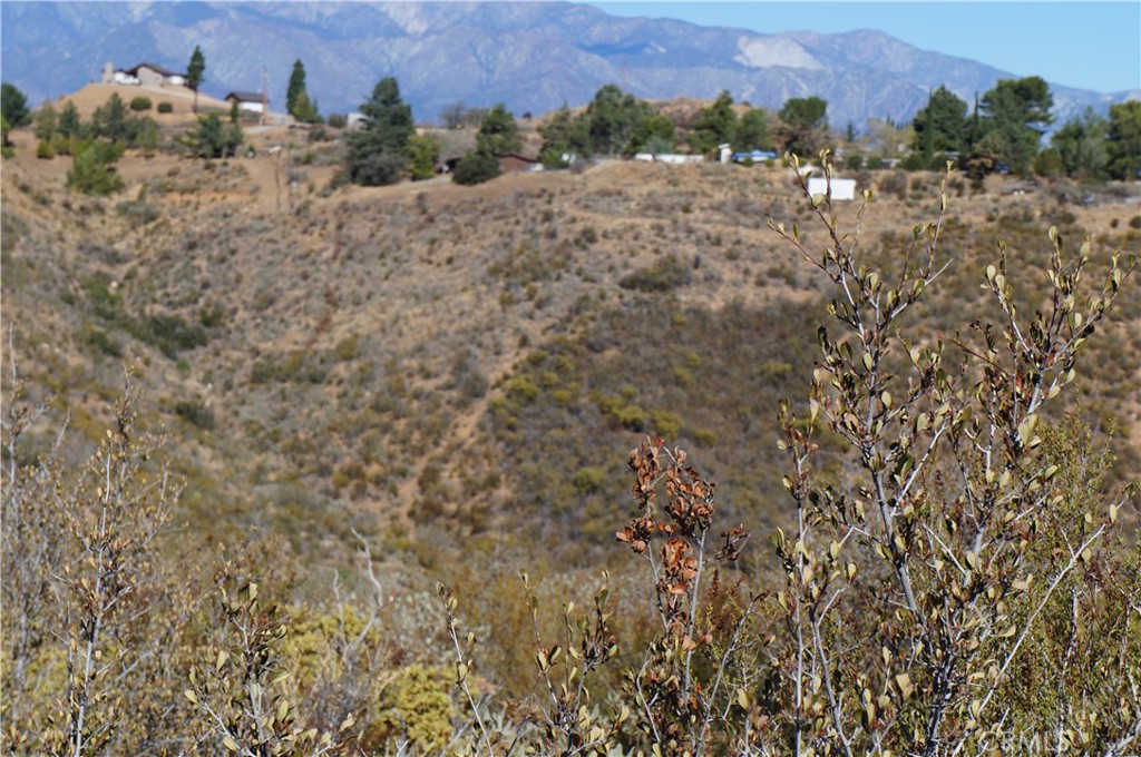 MLS #SB25011782 image #10
