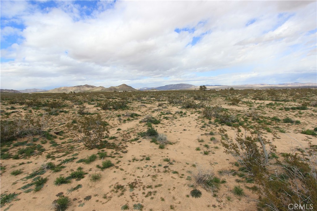 MLS #IV25255331 image #4