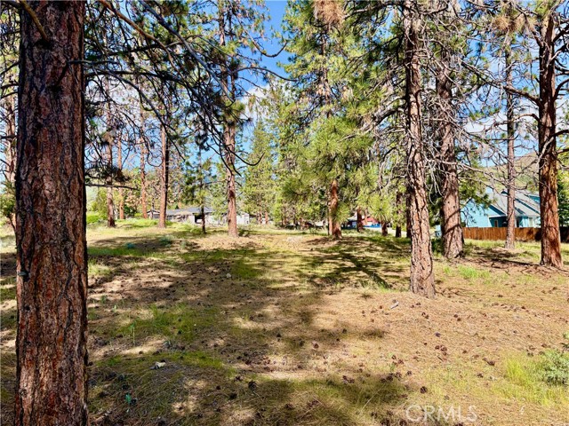 Image 23 of 54 For 0 S Lang Way