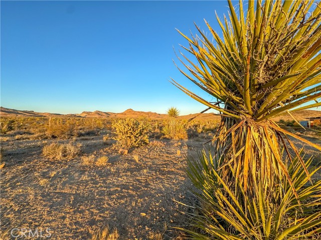 Detail Gallery Image 50 of 56 For 44080 Lanfair Rd, Needles,  CA 92363 - 3 Beds | 3 Baths