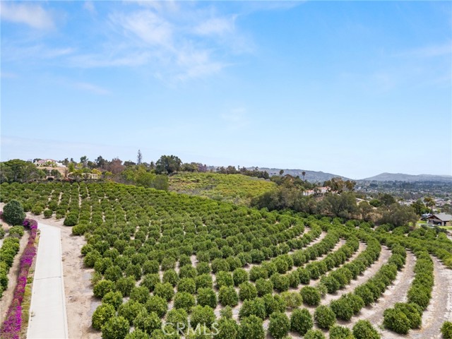 25 Encino Avenue, Camarillo CA: https://media.crmls.org/medias/9cc54efe-b54f-4f6d-8d4c-810adb837142.jpg