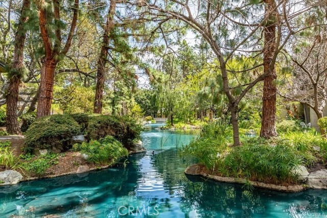 Detail Gallery Image 40 of 57 For 4900 E Chapman Ave #51,  Orange,  CA 92869 - 2 Beds | 2 Baths