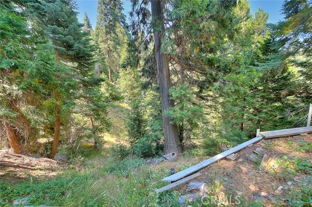 680 Buckingham, Lake Arrowhead, CA 92385