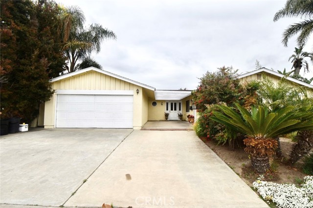 802 Calle Camelia photo 2
