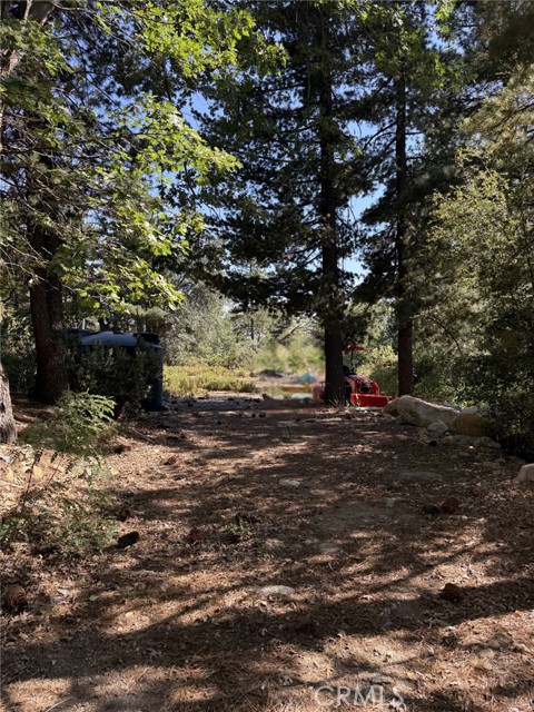 0 Ca-38, Angelus Oaks CA: https://media.crmls.org/medias/9cd2b1a5-20c1-4f67-8e38-f82f0d081e08.jpg