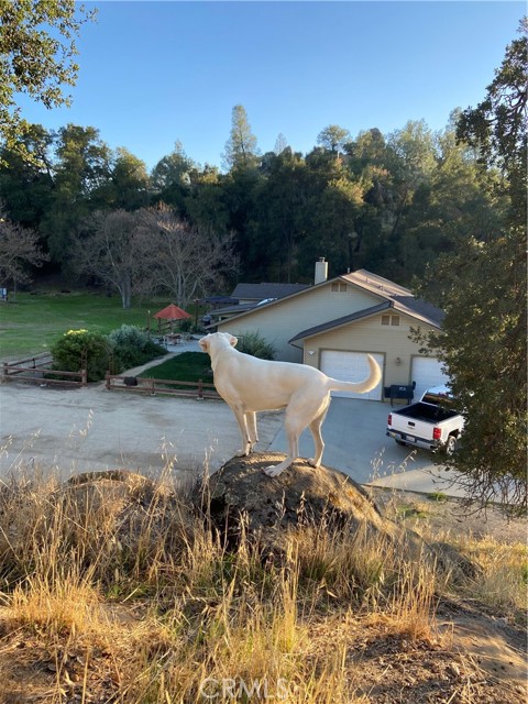 Detail Gallery Image 60 of 69 For 1575 Parkhill Rd, Santa Margarita,  CA 93453 - 4 Beds | 2/1 Baths