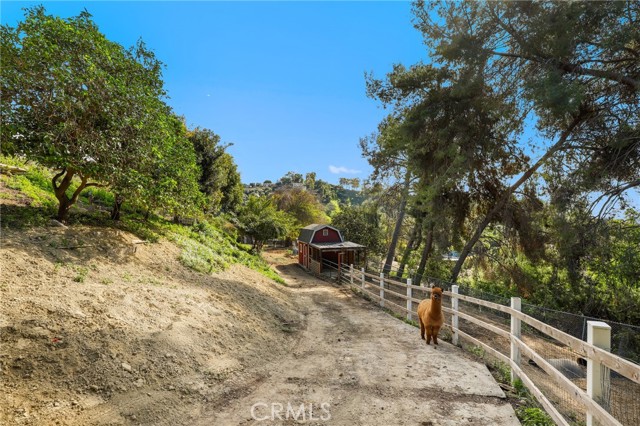 Detail Gallery Image 52 of 66 For 1918 Chandos Ln, La Habra Heights,  CA 90631 - 3 Beds | 3 Baths