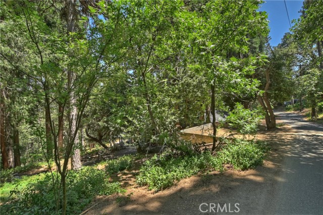 Detail Gallery Image 44 of 59 For 996 Coulter Pine Rd, Crestline,  CA 92325 - 3 Beds | 1 Baths