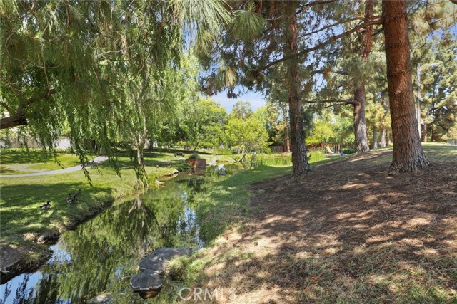 Photo #56: CROC25092973 Listing: Photo #56
