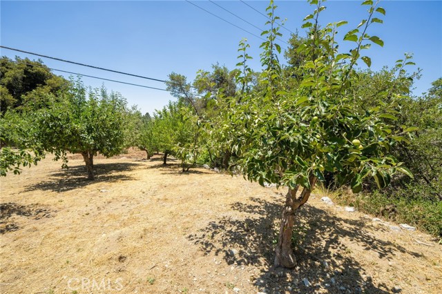 Detail Gallery Image 57 of 74 For 39804 Pine Bench Rd, Oak Glen,  CA 92399 - 4 Beds | 3 Baths