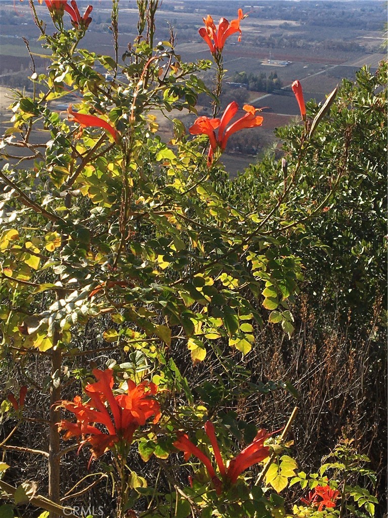 https://media.crmls.org/medias/9cf1b7e8-4b7b-4b91-9416-8b4a4c775db7.jpg?preset=X-Large