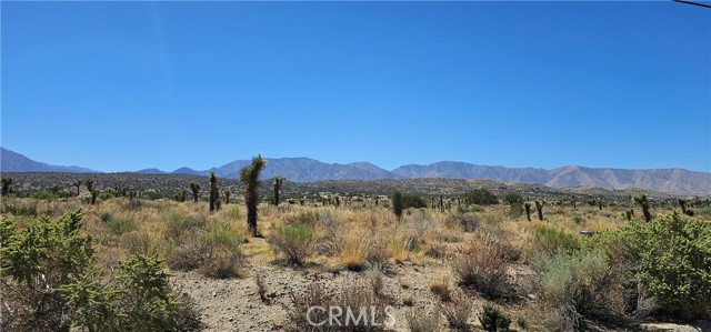 Detail Gallery Image 2 of 6 For 0 Ft Tejon/Vic Bob Gaps Rd, Llano,  CA 93544 - – Beds | – Baths