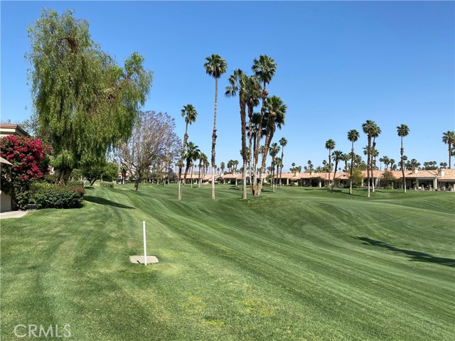 Image 6 for 76437   Violet CIR