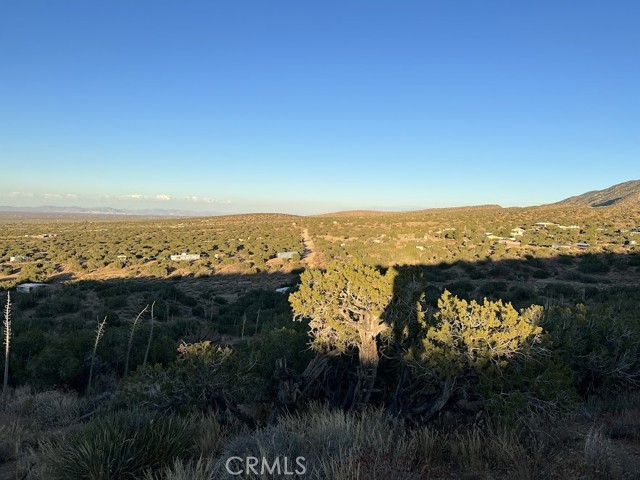 Detail Gallery Image 55 of 75 For 0 Vac/Vic Avenue Z/Vic 195 Ste, Llano,  CA 93544 - – Beds | – Baths