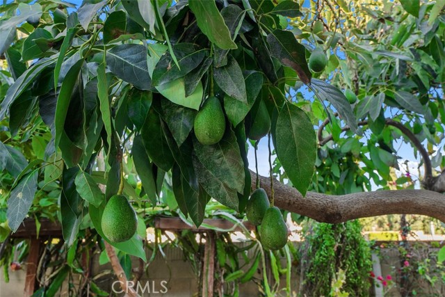 Detail Gallery Image 26 of 31 For 5201 W Henderson Pl, Santa Ana,  CA 92704 - 3 Beds | 2 Baths