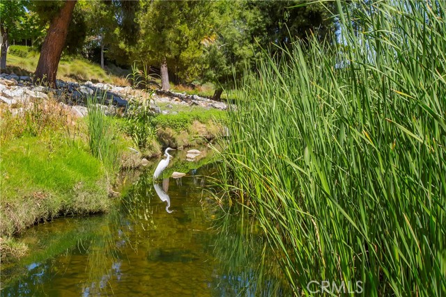 Detail Gallery Image 33 of 43 For 815 via Alhambra #N,  Laguna Woods,  CA 92637 - 2 Beds | 2 Baths