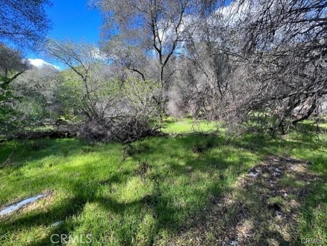 Image 5 of 10 For 45580 Sierra Drive