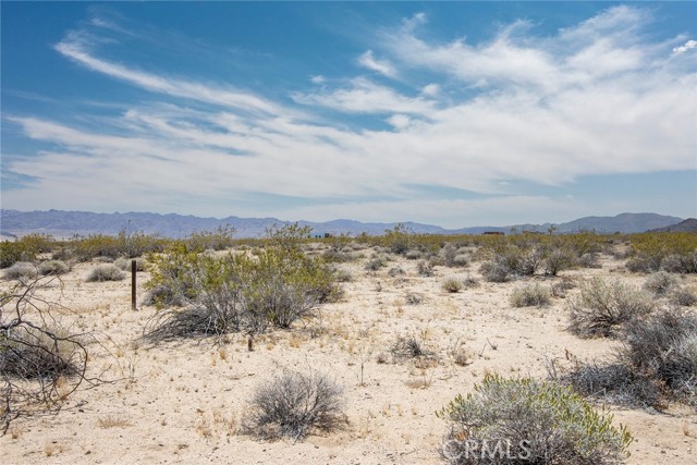 Detail Gallery Image 6 of 17 For 1851 Sunever Rd, Joshua Tree,  CA 92252 - – Beds | – Baths