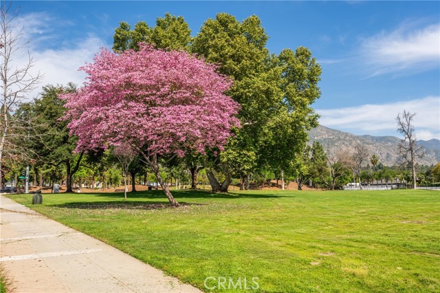 Detail Gallery Image 39 of 45 For 651 N Sunnyslope Ave, Pasadena,  CA 91107 - 5 Beds | 3 Baths