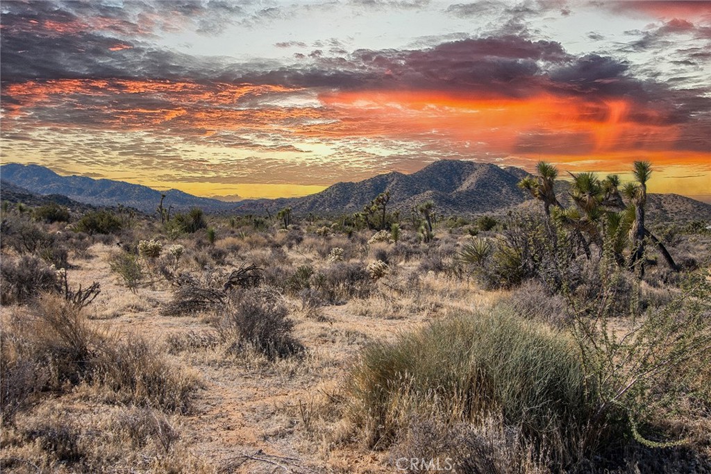 MLS #JT25254535 image #42