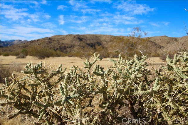 Detail Gallery Image 12 of 21 For 61769 Cowan Ln, Joshua Tree,  CA 92252 - – Beds | – Baths