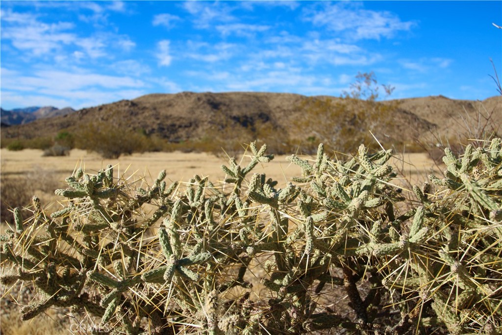 MLS #JT25246863 image #11