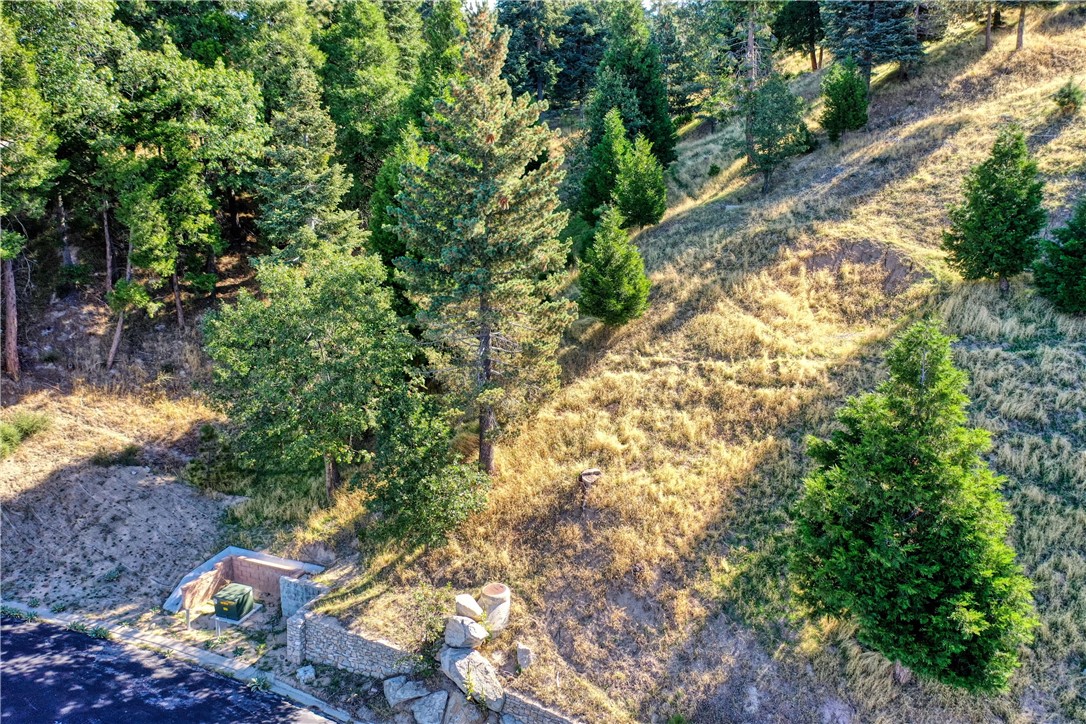 Detail Gallery Image 4 of 11 For 263 Hidden Forest Rd, Lake Arrowhead,  CA 92352 - – Beds | – Baths