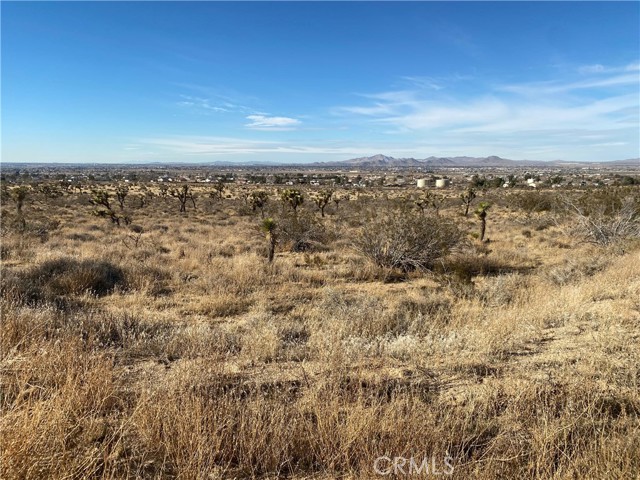 Detail Gallery Image 11 of 18 For 1 Tussing Ranch Rd, Apple Valley,  CA 92308 - – Beds | – Baths