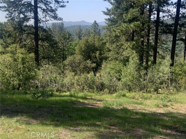 Detail Gallery Image 2 of 9 For 0 4.98 Ac Timberwood Ln, Oakhurst,  CA 93644 - – Beds | – Baths