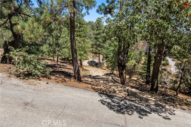 27115 Spring Lane, Lake Arrowhead CA: https://media.crmls.org/medias/9d13572a-c6f5-45a3-84c7-f9609b1c1940.jpg