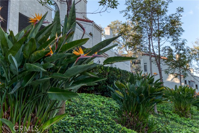 Detail Gallery Image 31 of 38 For 17202 Corbina Ln #205,  Huntington Beach,  CA 92649 - 1 Beds | 1 Baths